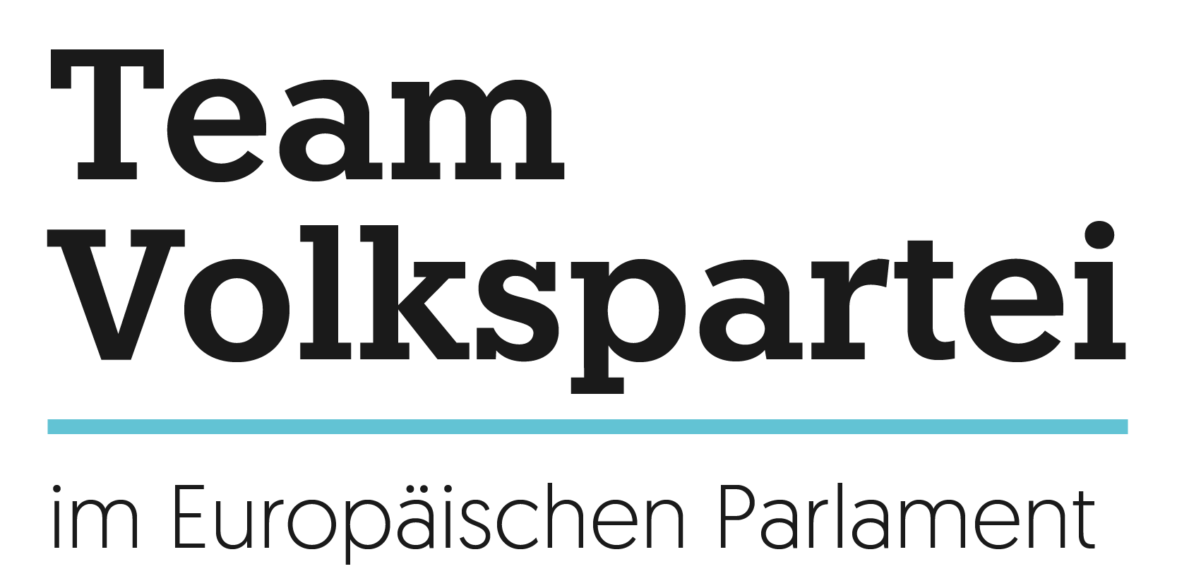 Team Volkspartei im europäischen Parlament